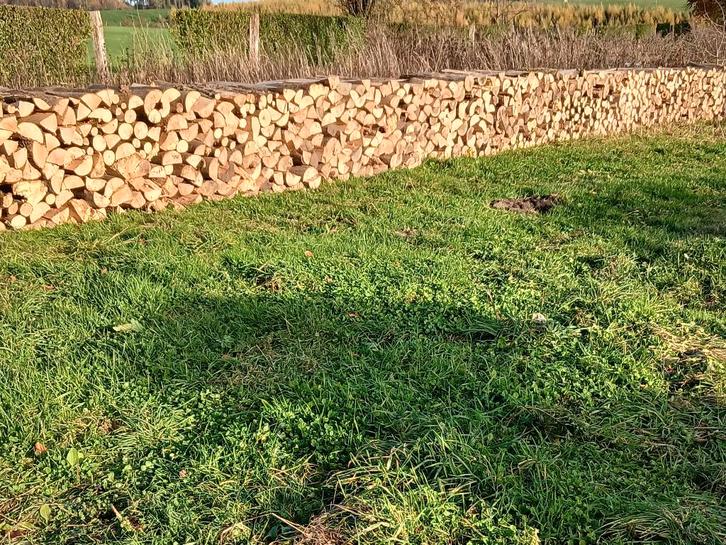 BOIS DE CHAUFFAGE SEC DE QUALITE TOUTE L'ANNEE!!!, Jardin & Terrasse, Poteaux, Poutres & Planches, Utilisé, Autres types, Bois dur