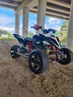 Yamaha raptor R700 special edition, Motoren