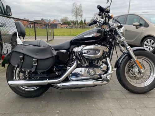 Harley Davidson Sportster XL1200C Custom, Motoren, Motoren | Harley-Davidson, Particulier, Chopper, meer dan 35 kW, Ophalen
