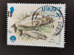 Jersey 1998 - vissen - Europese zeebaars, Postzegels en Munten, Postzegels | Europa | UK, Ophalen of Verzenden, Gestempeld