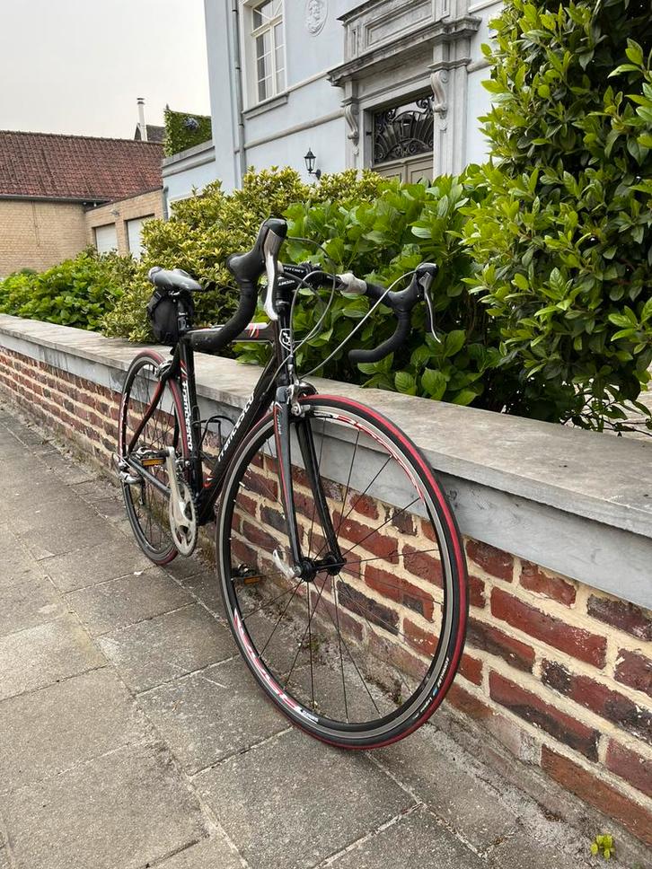 Francesco Moser KoersFiets Carbon, Fietsen en Brommers, Fietsen | Racefietsen, Zo goed als nieuw, Heren, Overige merken, 15 tot 20 versnellingen