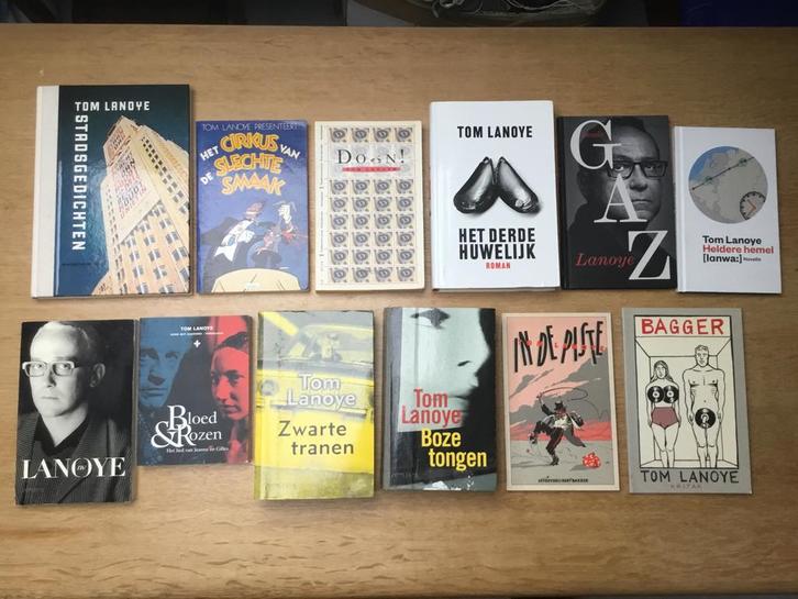 Tom Lanoye - 12 verschillende boeken, Boeken, Romans, Zo goed als nieuw, Ophalen of Verzenden
