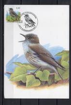 Année 2004 : Carte maximum 3265 - Oiseaux - Gobemouche gris, Timbres & Monnaies, Timbres | Europe | Belgique, Enlèvement ou Envoi