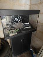 Aquarium met toebehoren en kast, Dieren en Toebehoren, Ophalen of Verzenden, Gebruikt