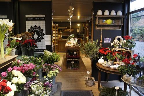 Bloemen- en plantenwinkel over te nemen in Hannuit, Diversen, Overige Diversen, Ophalen of Verzenden