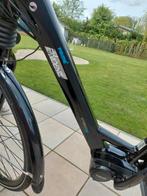 Giant ebike 550euro, 30 tot 50 km per accu, Zo goed als nieuw, Giant, Ophalen