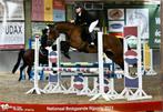 2 poneys sauteurs et chevaux à vendre, Animaux & Accessoires, Jument, Débourré