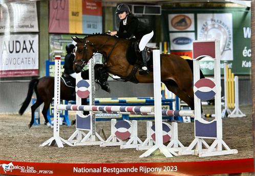 1 springpony en paardje te koop, Dieren en Toebehoren, Paarden, Merrie, Zadelmak