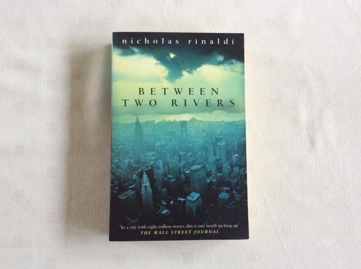 roman: Nicholas Rinaldi: Between Two Rivers (over New York), Boeken, Romans, Gelezen, Ophalen of Verzenden
