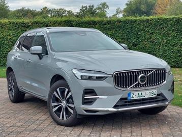 Volvo XC60 T6 plugin hybride AWD - 12.950 km - 07/2024 beschikbaar voor biedingen