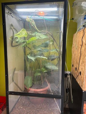 Flexarium 120x60x60 avec lampes leds integrés, Enlèvement, Comme neuf, Terrarium ou Paludarium