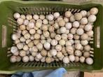 Meer dan 200 golfballen, Sport en Fitness, Golf, Ophalen of Verzenden, Gebruikt, Bal(len)