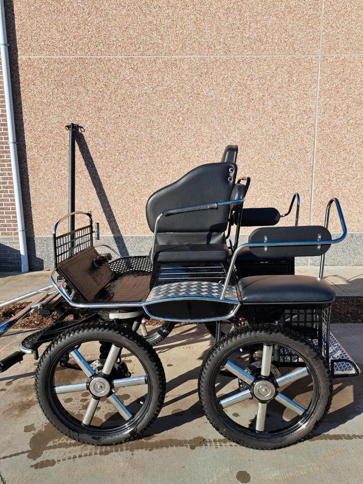 Marathon/recreatie koets, Dieren en Toebehoren, Rijtuigen en Koetsen