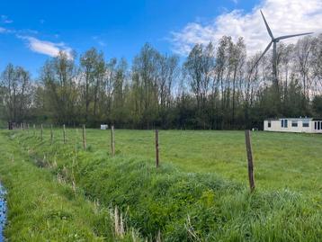 PAARDENWEIDE TE HUUR  beschikbaar voor biedingen