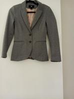 Grijze blazer maat 36, Vêtements | Femmes, Vestes & Costumes, Gris, Enlèvement ou Envoi, Taille 36 (S), Comme neuf