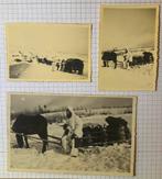 3 photos rares Allemands la neige Mp40 Chevaux WW2, Enlèvement ou Envoi