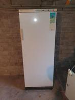 Diepvriezer, Gebruikt, 140 tot 160 cm, Ophalen, Vrieskast