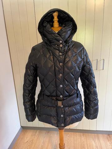 Winterjas Poivre Blanc XL/XXL beschikbaar voor biedingen