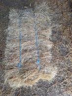 hooi kleine pakken, Dieren en Toebehoren, Dierenvoeding, Ophalen, Vee