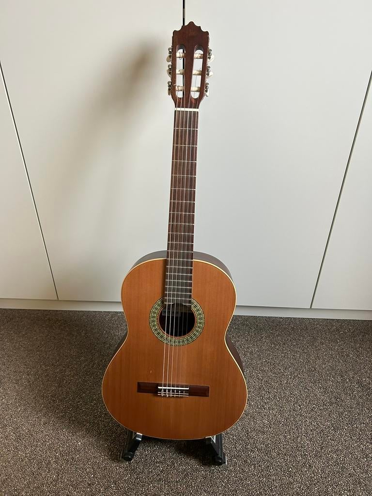 Paco castillo 201 7/8 klassieke gitaar, Muziek en Instrumenten, Ophalen, Zo goed als nieuw, Klassieke of Spaanse gitaar, Met koffer