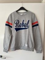 Trui Colourful Rebel maat S, Ophalen of Verzenden, Zo goed als nieuw, Grijs, Colourful rebel