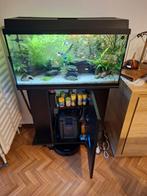 Aquarium 80cm met Ledverlichting, app-bestuurbaar, Dieren en Toebehoren, Ophalen