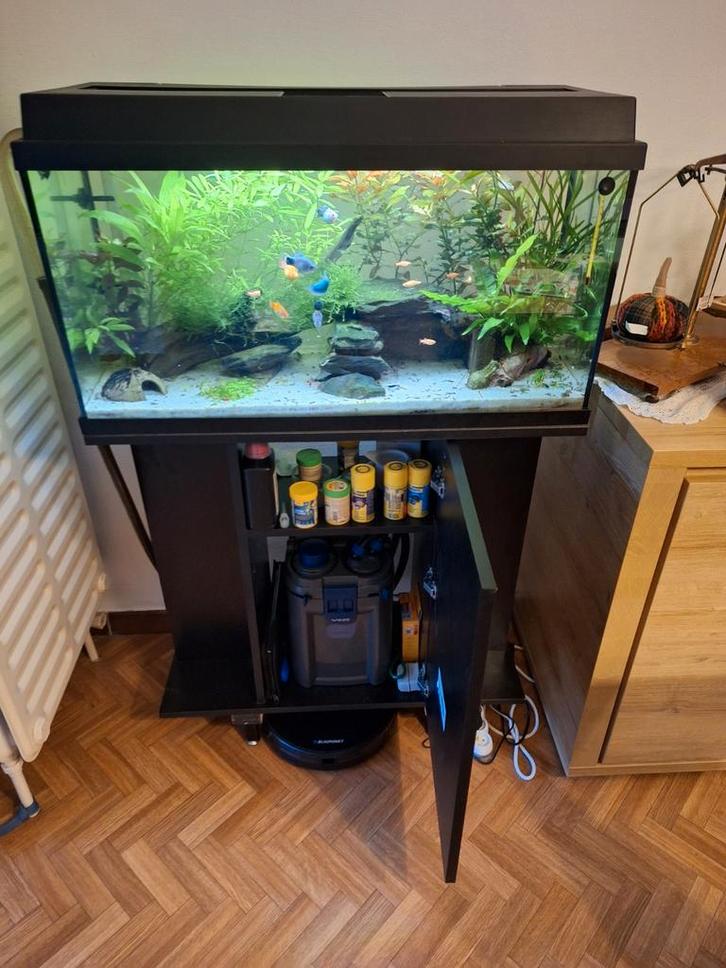Aquarium 80cm met Ledverlichting, app-bestuurbaar, Dieren en Toebehoren, Vissen | Aquaria en Toebehoren, Ophalen
