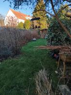 Tuin onderhoud werken, Tuin en Terras, Planten | Bomen, Ophalen
