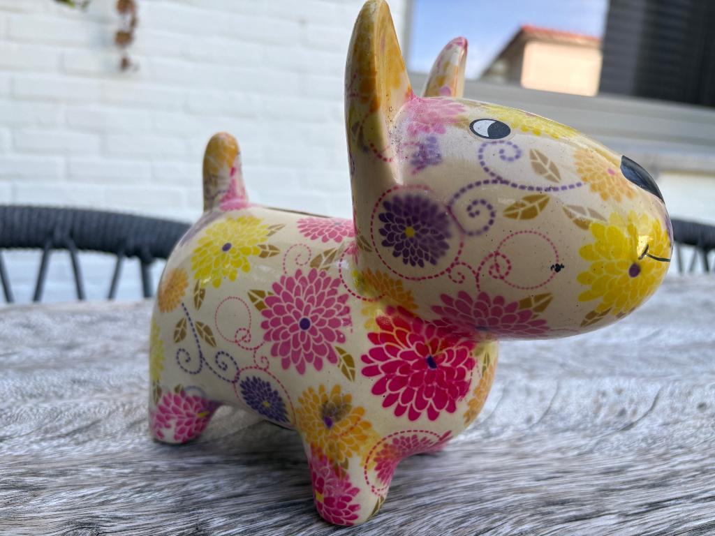 Spaarpot hondje, Collections, Tirelires, Enlèvement, Comme neuf, Pierre, Poterie ou Céramique, Animal