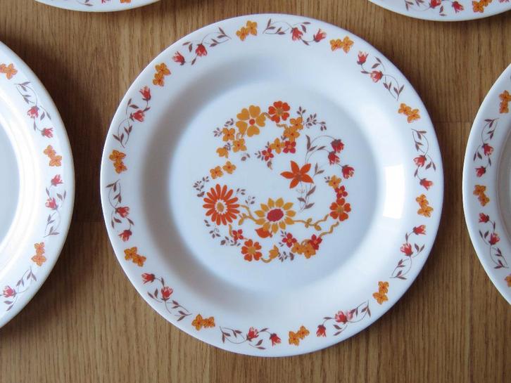vintage arcopal 10 grandes assiettes plates motifs flore, Huis en Inrichting, Keuken | Servies, Gebruikt, Bord(en), Ophalen of Verzenden