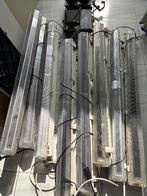 TL Lamp blacklight en spots, Muziek en Instrumenten, Licht en Laser, Ophalen, Gebruikt, Licht, Kleur