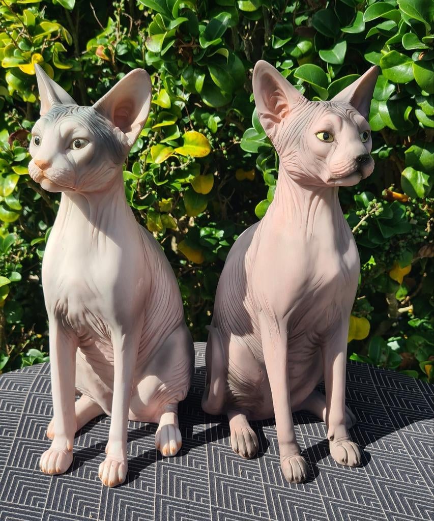 Polyester Sphynx beelden, Ophalen, Nieuw, Kunststof, Dierenbeeld