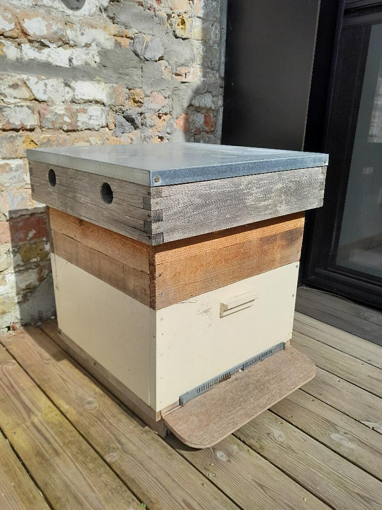 Bijenkast Simplex, Dieren en Toebehoren, Bijen