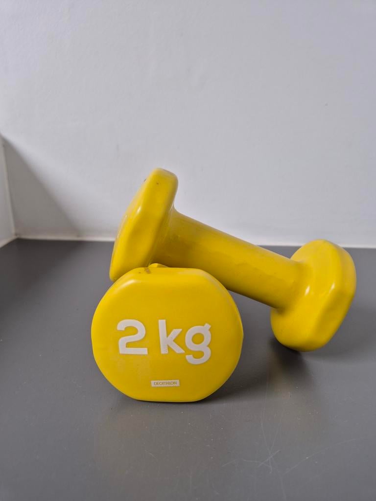 Domyos 2 halters van 2 kg, Sport en Fitness, Fitnessmaterialen, Ophalen