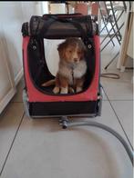 Hondenfietskar doggyride mini, Dieren en Toebehoren, Ophalen, Gebruikt