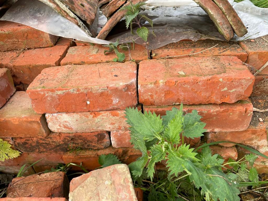 Te koop beerse klinkers 200 stuks  circa 17,5 x 5 x 8,5 cm, Ophalen, Zo goed als nieuw