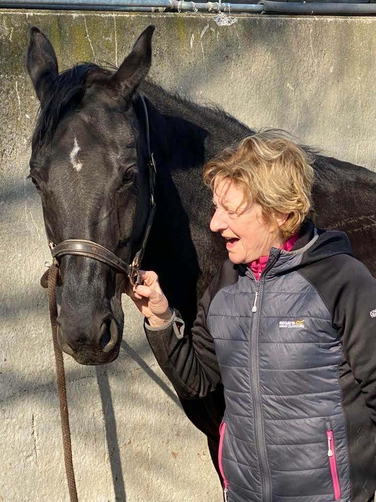 paardrijles ,horsemenship Lochristi