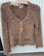 Bruin vestje van Junie Paris maat S, Bruin, Ophalen of Verzenden, Zo goed als nieuw, Maat 36 (S)