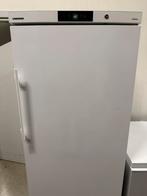 Congélateur Liebherr Profline Armoire 472L, Enlèvement, Comme neuf