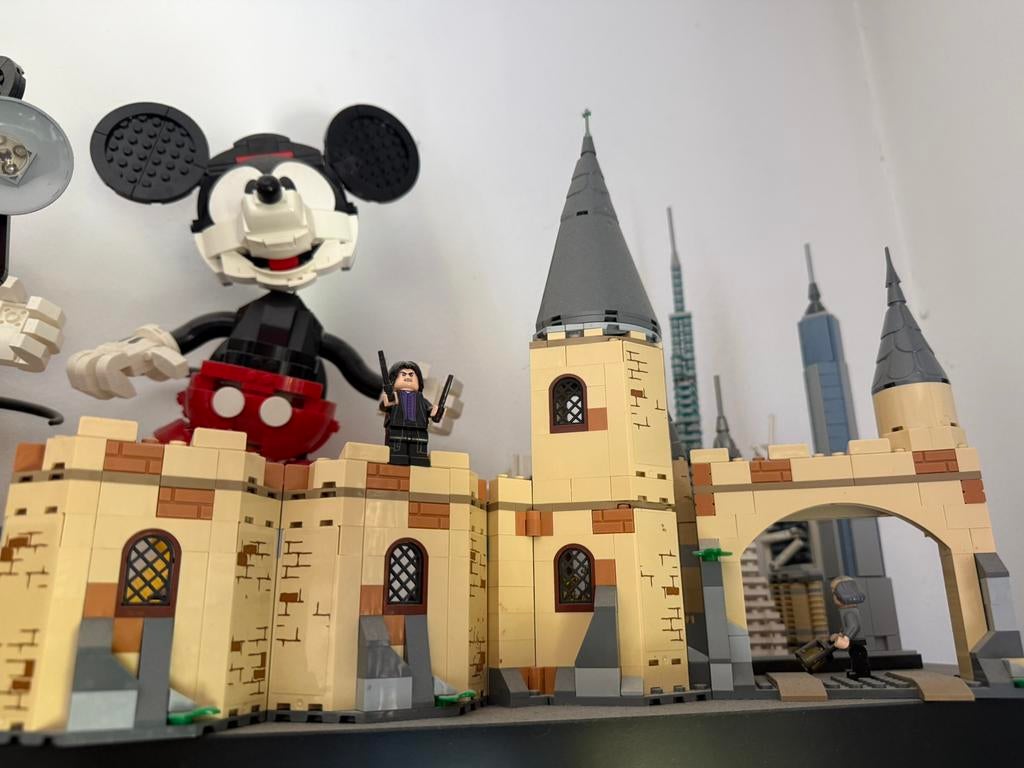 TE KOOP: LEGO Harry Potter sets (14 stuks), Collections, Harry Potter, Enlèvement