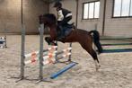 Toffe Springpony - Sportpony B - te koop, Poney B (1.17 m à 1.27 m), L, Poney de saut, Jument