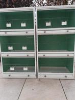 3- delig kweekkooien te koop, Dieren en Toebehoren, Ophalen