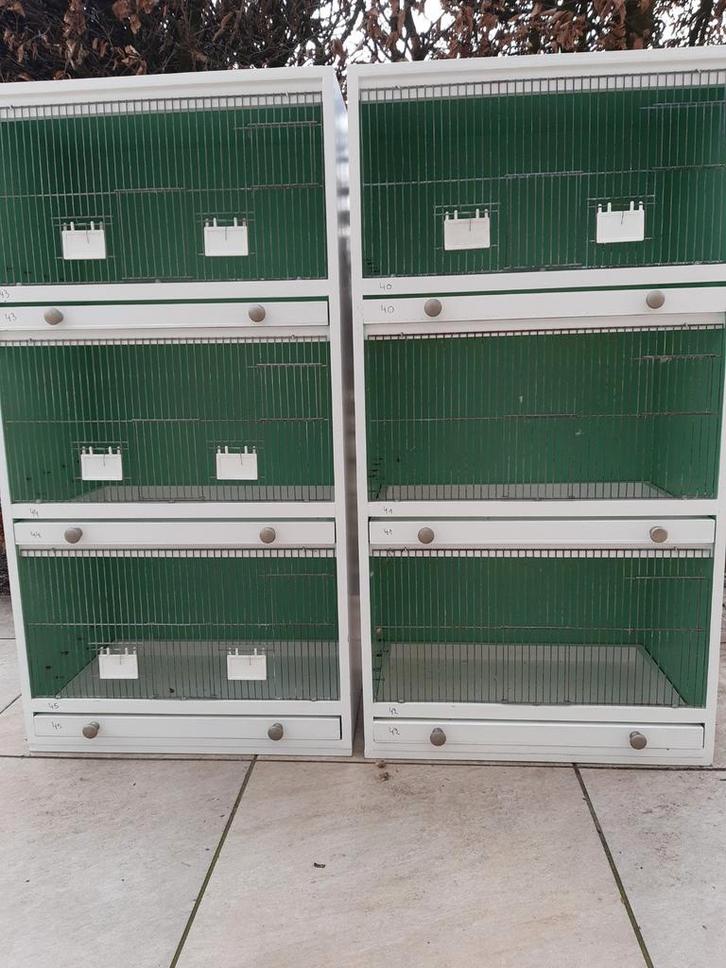 3- delig kweekkooien te koop, Animaux & Accessoires, Oiseaux | Cages & Volières, Enlèvement