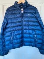 Vest Tommy Hilfiger, Kleding | Dames, Jassen | Zomer, Verzenden, Zo goed als nieuw, Maat 38/40 (M), Blauw