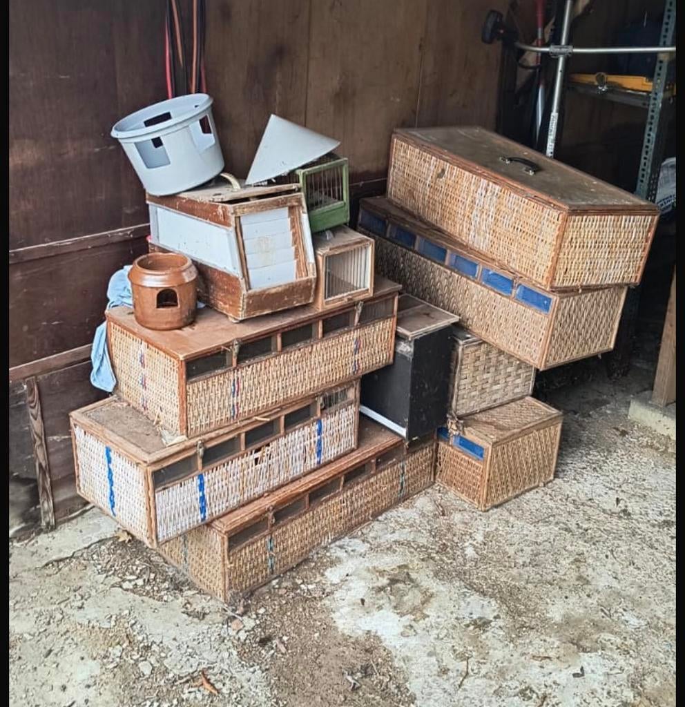 Paniers à pigeons et bien plus encore