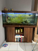 Aquarium juwel rio 450, Enlèvement, Comme neuf