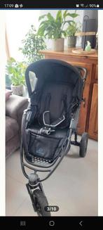 Buggy quiny, Enlèvement