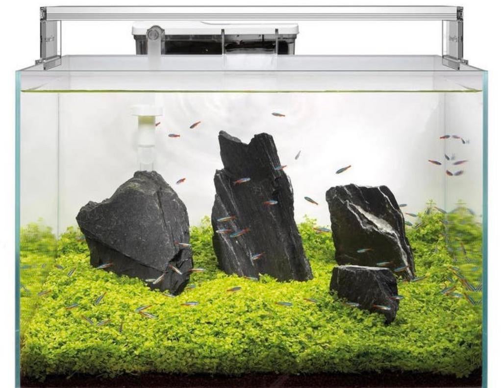 Aqarium superfish scaper 90, Ophalen, Zo goed als nieuw, Filter, Superfish