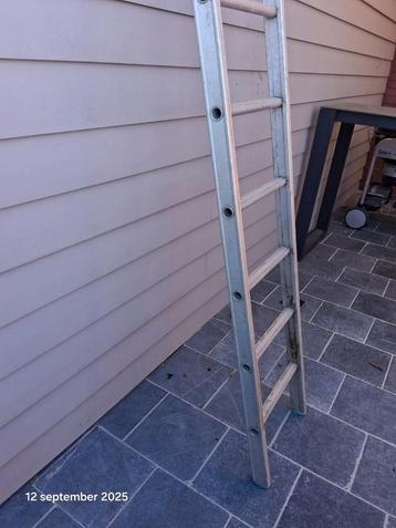Enkele ladder  beschikbaar voor biedingen