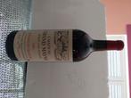 Grand mayne cru classé dubbel magnum 1994, Frankrijk, Nieuw, Ophalen of Verzenden, Rode wijn
